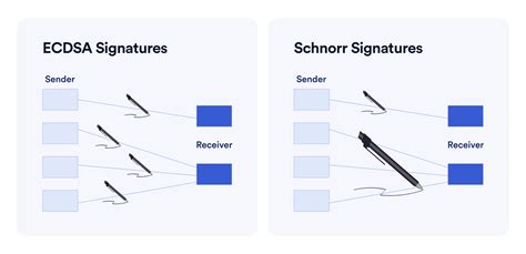 Ethereum: Why is no security lost by using 32-byte public keys in Schnorr signatures instead of 33?
