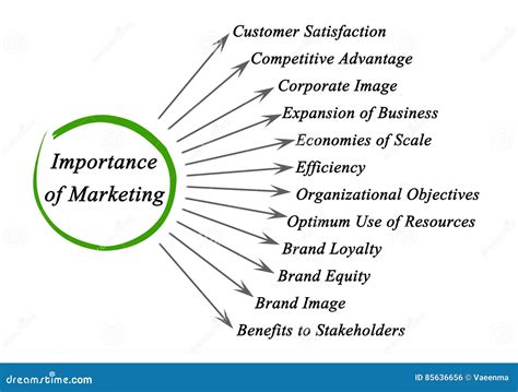 The Importance of Market